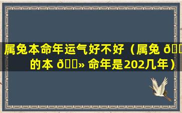 属兔本命年运气好不好（属兔 🕸 的本 🌻 命年是202几年）